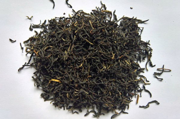 Gingia