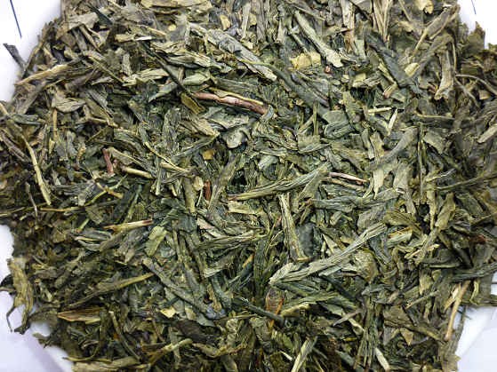 Sencha