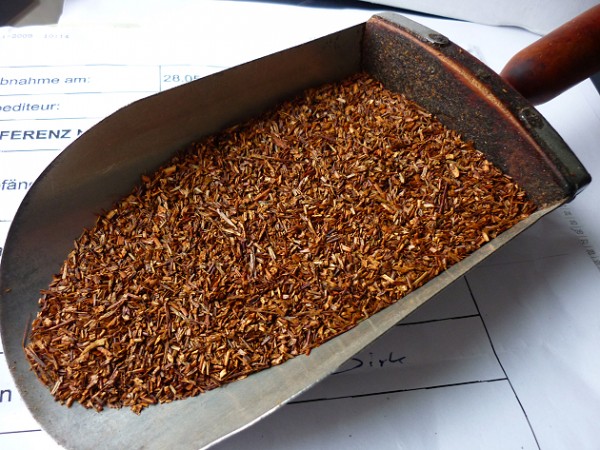 Rotbuschtee (Rooibos) aus Südafrika